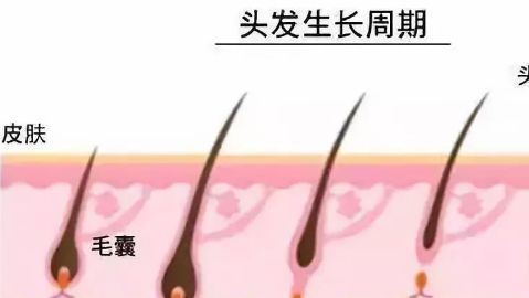 徐州市中心醫(yī)院整形美容科的醫(yī)生介紹及鼻子手術(shù)費(fèi)用如何？