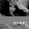 朱民歡