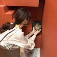 朱瑞婷