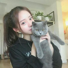 鮑麒麟