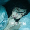 王懿洲