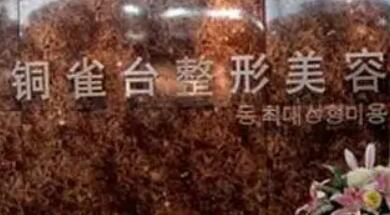 重慶銅雀臺(tái)整形