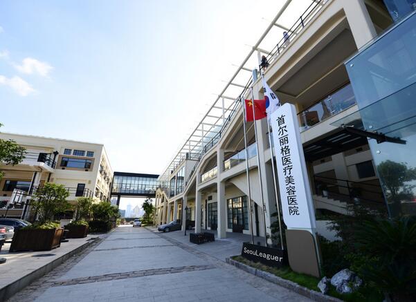 上海首爾麗格 上海首爾麗格