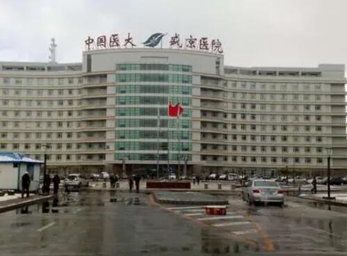 沈陽(yáng)盛京醫(yī)院整形外科