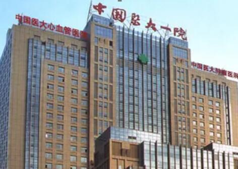 中國(guó)醫(yī)大一院整形科 中國(guó)醫(yī)大一院整形科