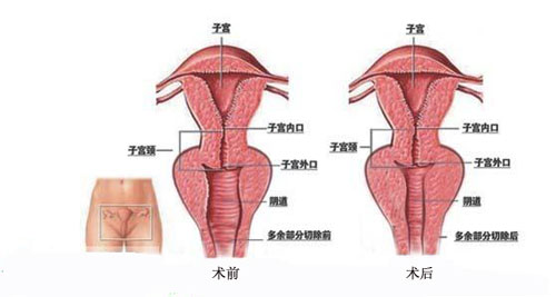 蘇州面部綜合管理醫(yī)生