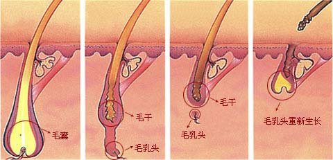長春專業(yè)整形醫(yī)院大揭秘！公主玻尿酸匯總單來啦，top實力醫(yī)院盤點，盡攬新技術(shù)！讓你驚艷不止~超乎想象的收