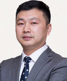 龍維