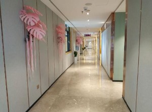 保定藍山醫(yī)療美容醫(yī)院做開眼角怎么樣？