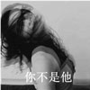 曲怡諾