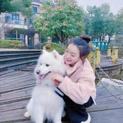 丁怡露