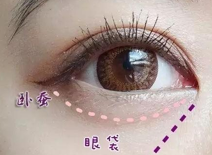 QQ截圖20220308114253.png