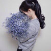 吉芯硯