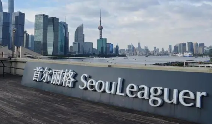 上海首爾麗格整形醫(yī)院.png