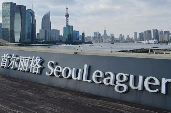 上海首爾麗格醫(yī)院.png