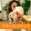 韋施遙