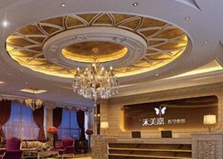 北京禾美嘉.png