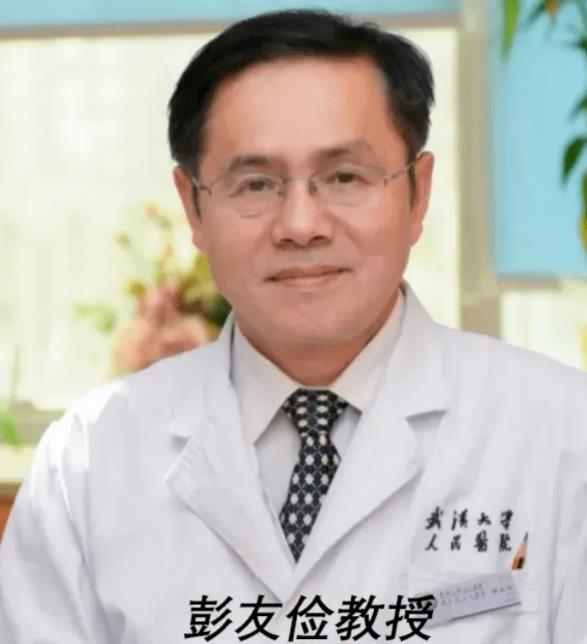 彭友儉