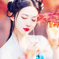 段詩(shī)蕊