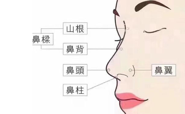 鼻綜合整形和單純隆鼻手術的區(qū)別在哪里?
