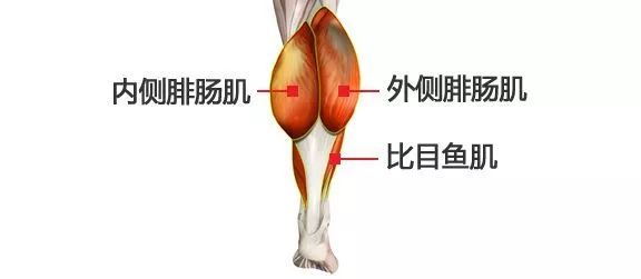 小腿肌肉阻斷術(shù)是什么？小腿神經(jīng)阻斷術(shù)的后遺癥有嗎？