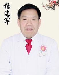 楊海軍