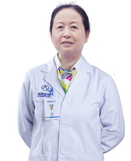 丁儉