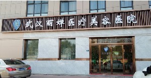 武漢麗嬋醫(yī)療美容醫(yī)院