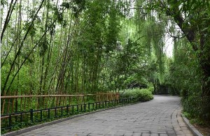 北京海醫(yī)悅美醫(yī)療美容門診部