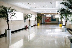 武漢明星醫(yī)學整形美容醫(yī)院